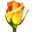 Rosegarden